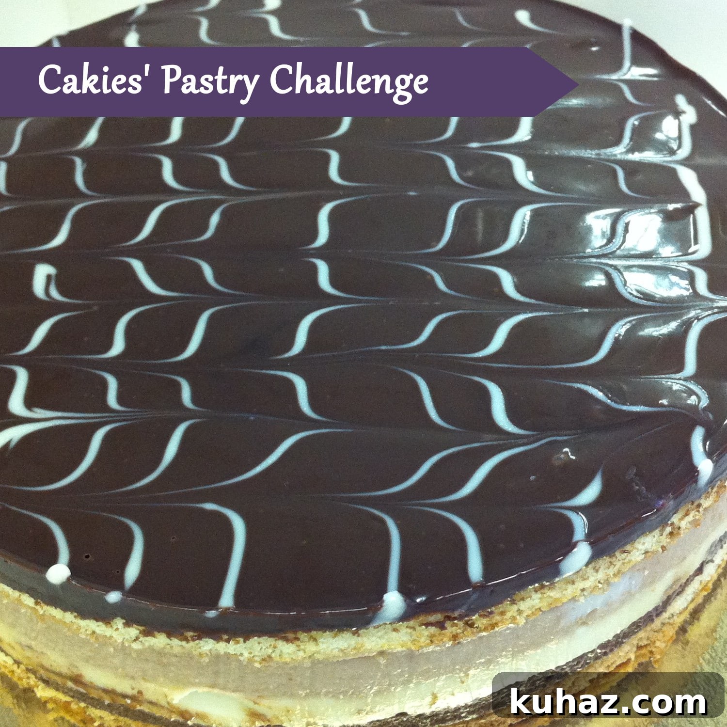 featured 1264