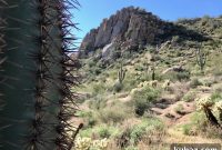 Why Phoenix Is the Next Hotspot for Living and Business
