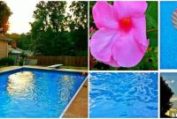 Pool Time: My Top Picks and Moments This Week