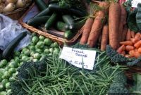 Deborah Madison: More Fruits and Vegetables for Weight Watchers