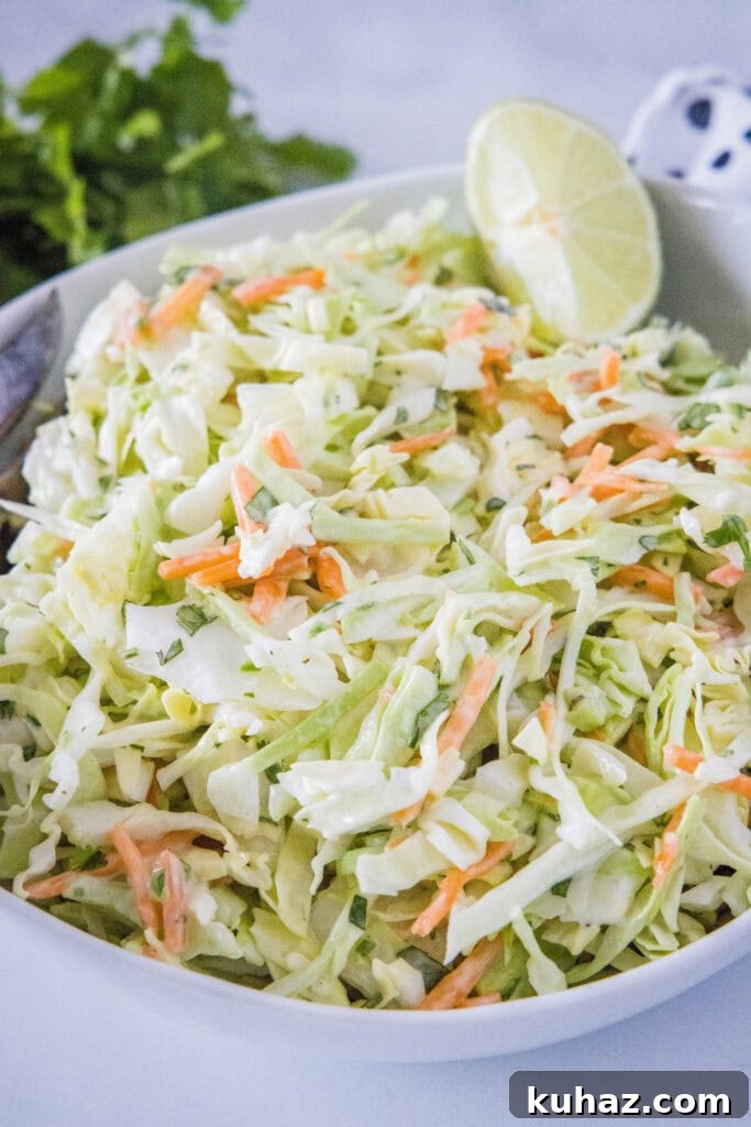 Zesty Mexican Coleslaw with Lime and Cilantro 2 creamy mexican coleslaw in a white bowl with a slice of lime