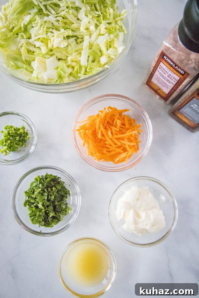 Zesty Mexican Coleslaw with Lime and Cilantro 3 mexican coleslaw ingredients