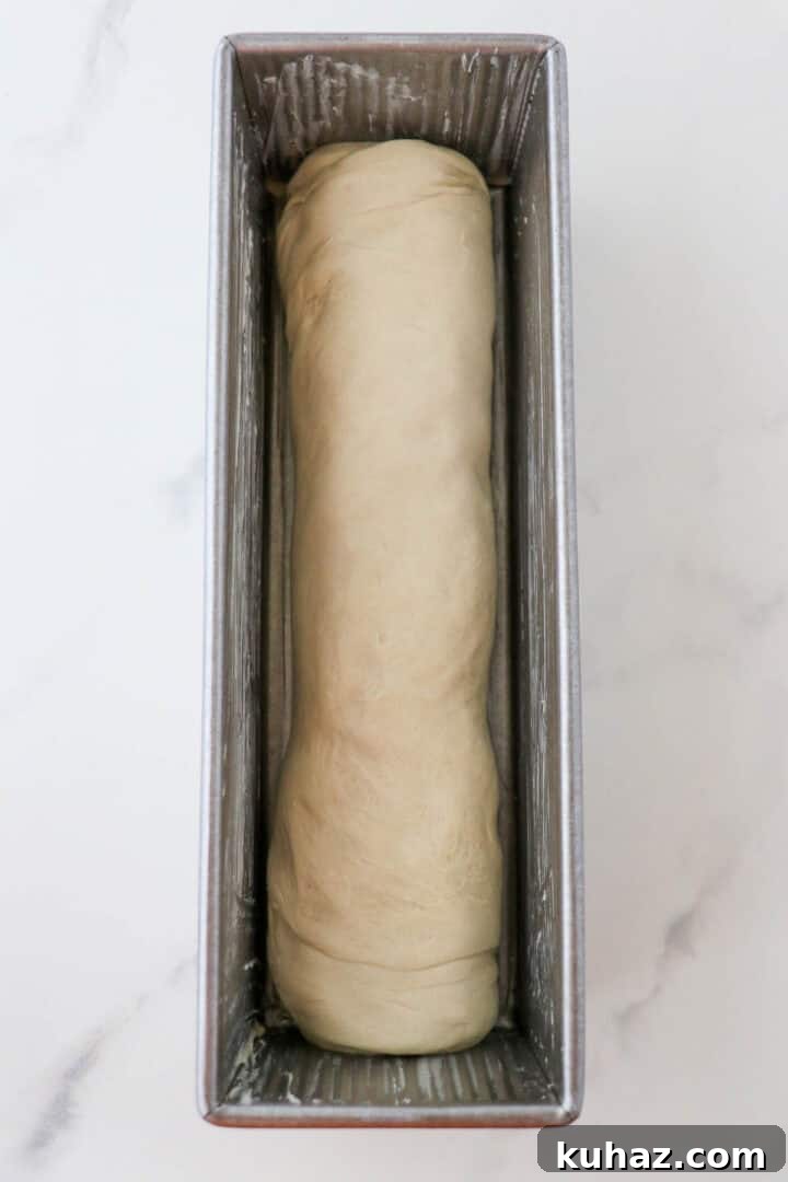 Homemade Buttermilk Bread Recipe: Soft, Tender Loaf 8 Unbaked loaf of buttermilk bread in a loaf pan.