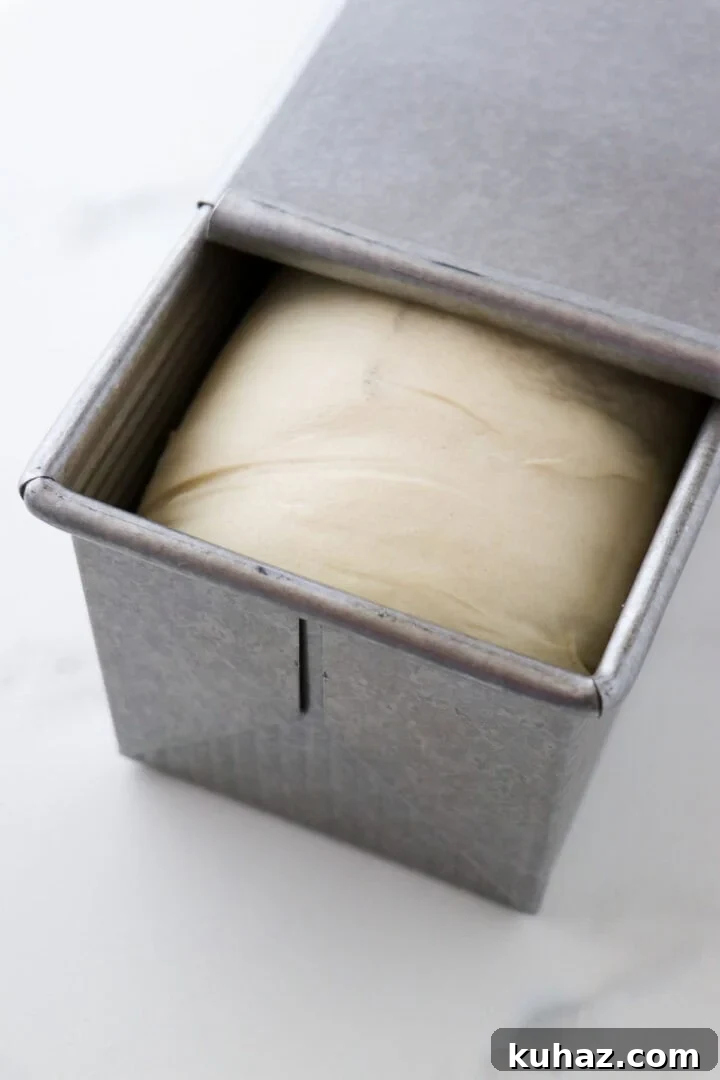 Homemade Buttermilk Bread Recipe: Soft, Tender Loaf 9 Unbaked loaf of buttermilk bread in a pullman pan with the lid partially slid back.