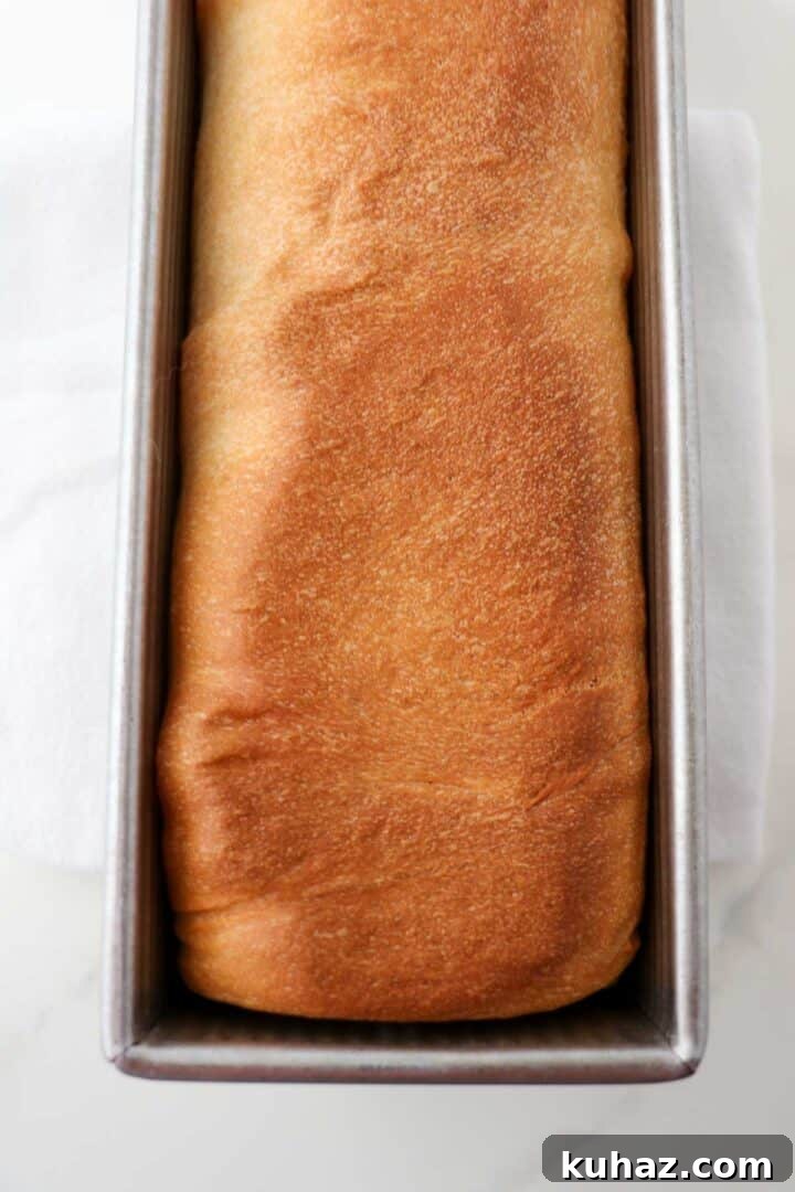 Homemade Buttermilk Bread Recipe: Soft, Tender Loaf 10 Loaf of Buttermilk Bread in a metal baking pan.