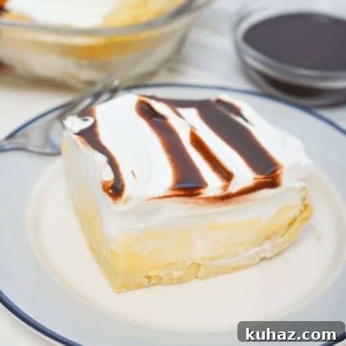 Cream Puff Cake Recipe with Vanilla Custard Filling 10 Tasty cream puff cake.