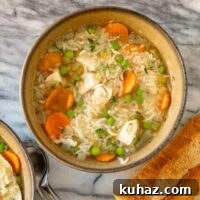 bowl of chicken and rice soup
