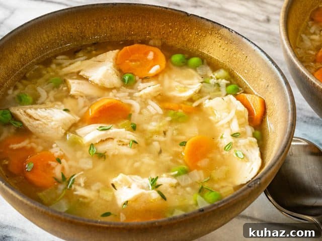 bowl of chicken and rice soup