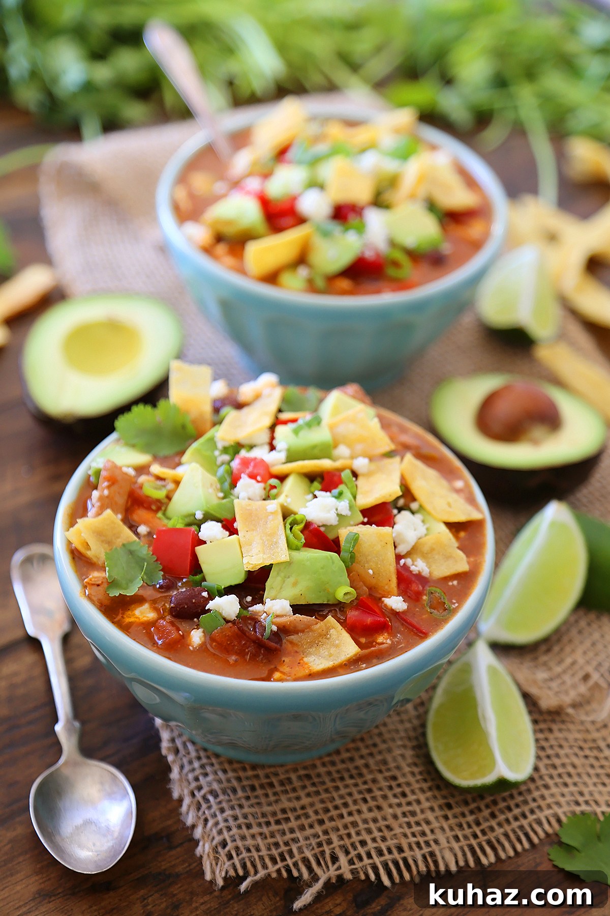 Chicken Tortilla Soup Recipe with Crispy Tortilla Strips 2 Easy Chicken Tortilla Soup - Serve this spicy, citrusy chicken tortilla soup for a fun twist on your weeknight meals! Add crunchy baked or fried tortilla strips, cilantro, avocado and crumbled queso for a truly amazing soup!