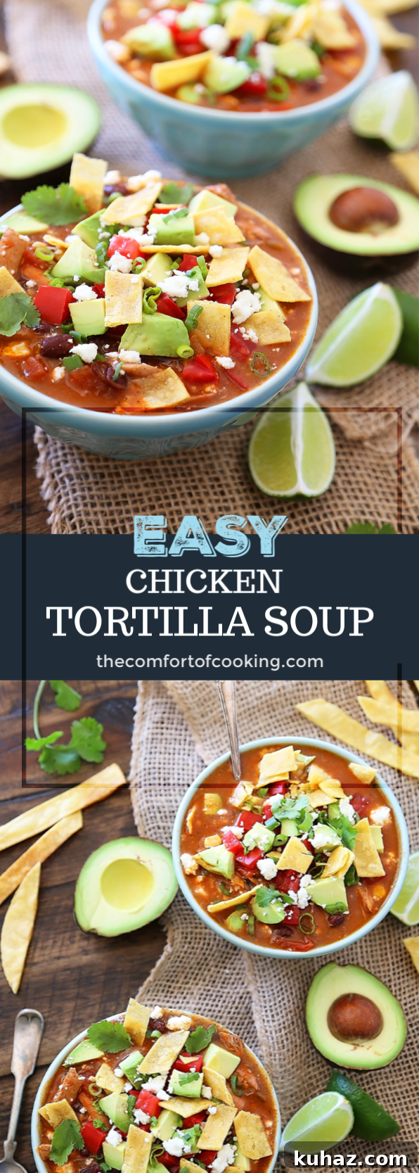 Chicken Tortilla Soup Recipe with Crispy Tortilla Strips 6 img 11701 7
