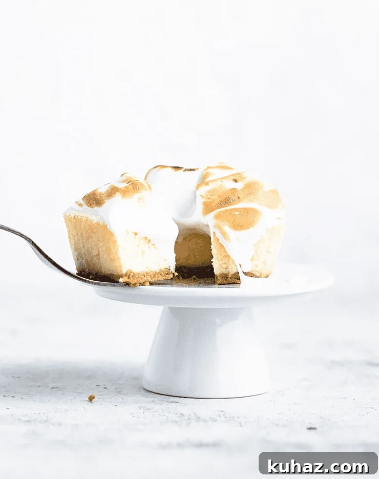 How to Make Meringue: Techniques, Tips and Troubleshooting 2 side view of a meringue covered cake being sliced