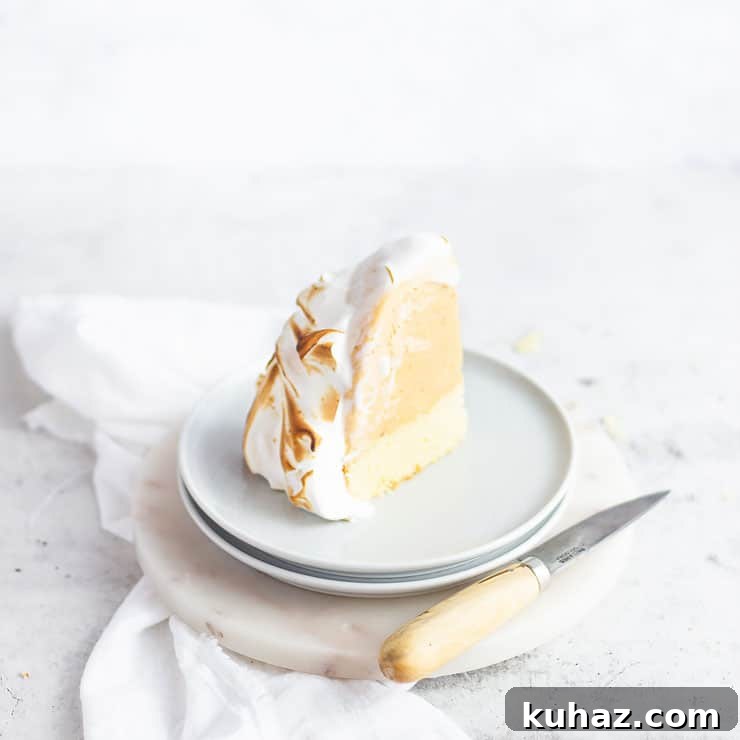 How to Make Meringue: Techniques, Tips and Troubleshooting 8 single slice of cake on a plate