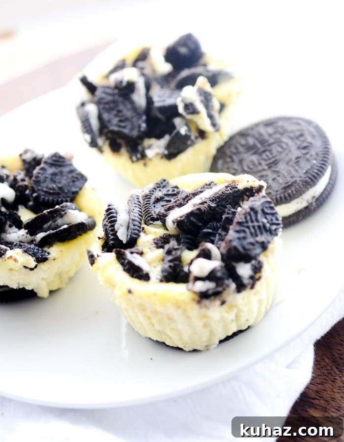 mini oreo cheesecakes 005