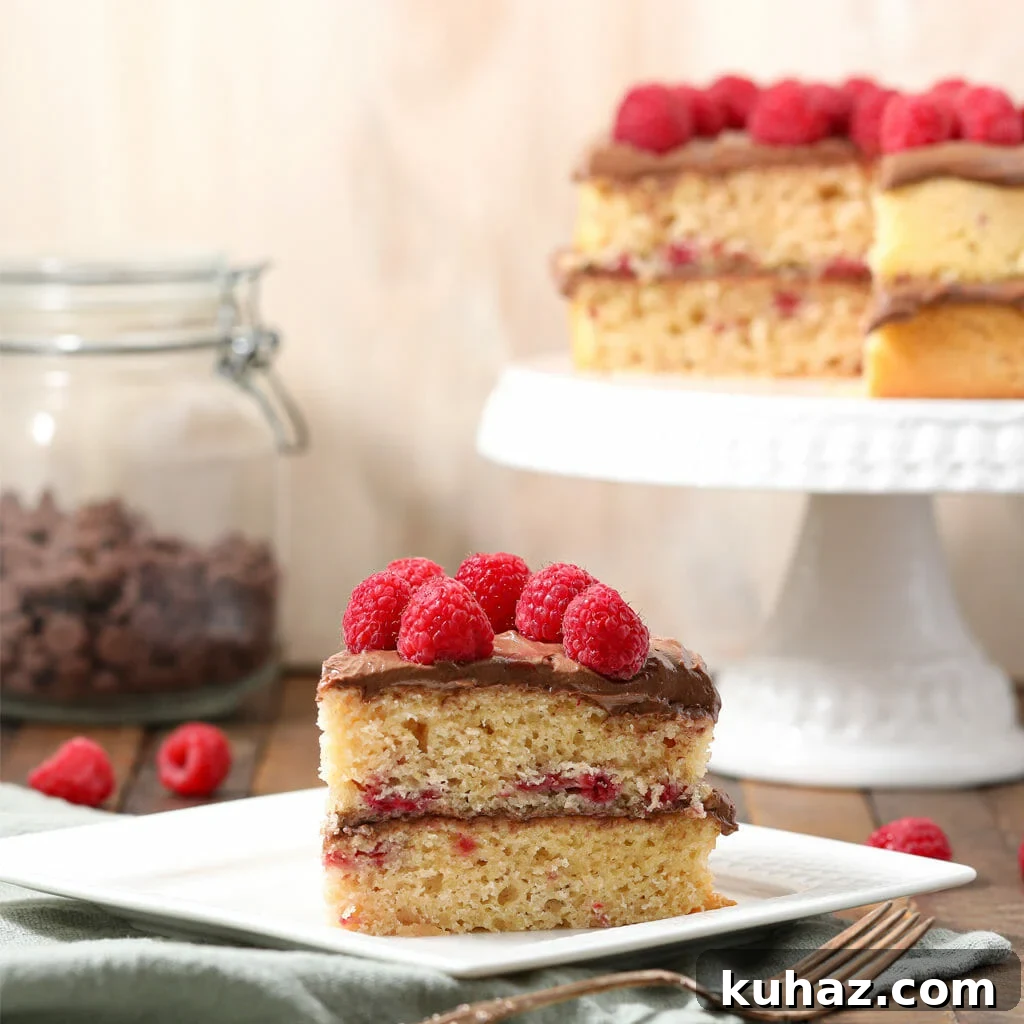 Gluten-Free Raspberry Cake Recipe with Chocolate Buttercream 2 Gluten Free Raspberry Cake with Chocolate Buttercream