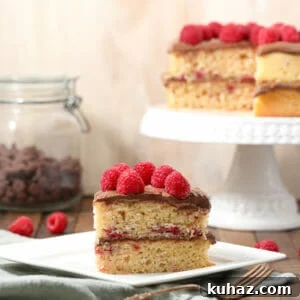 Gluten Free Raspberry Cake with Chocolate Buttercream