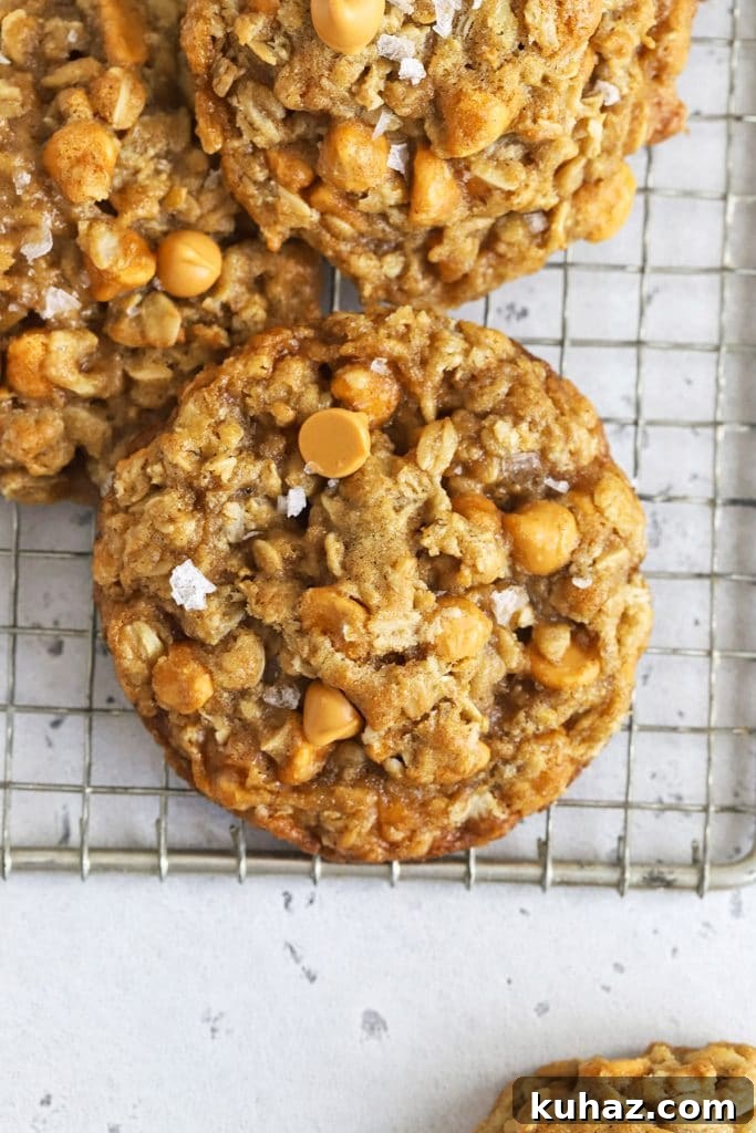 Gluten Free Cranberry White Chocolate Oatmeal Cookies 8 gluten free oatmeal butterscotch cookies topped with flaky sea salt