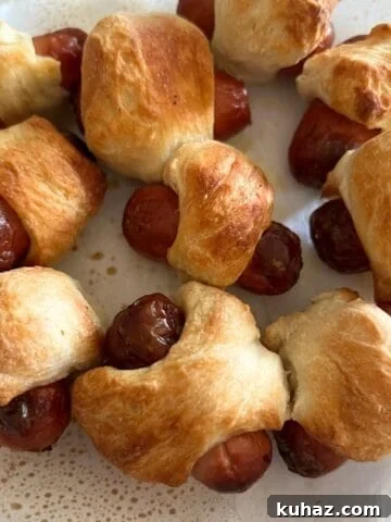Best Air Fryer Appetizers
