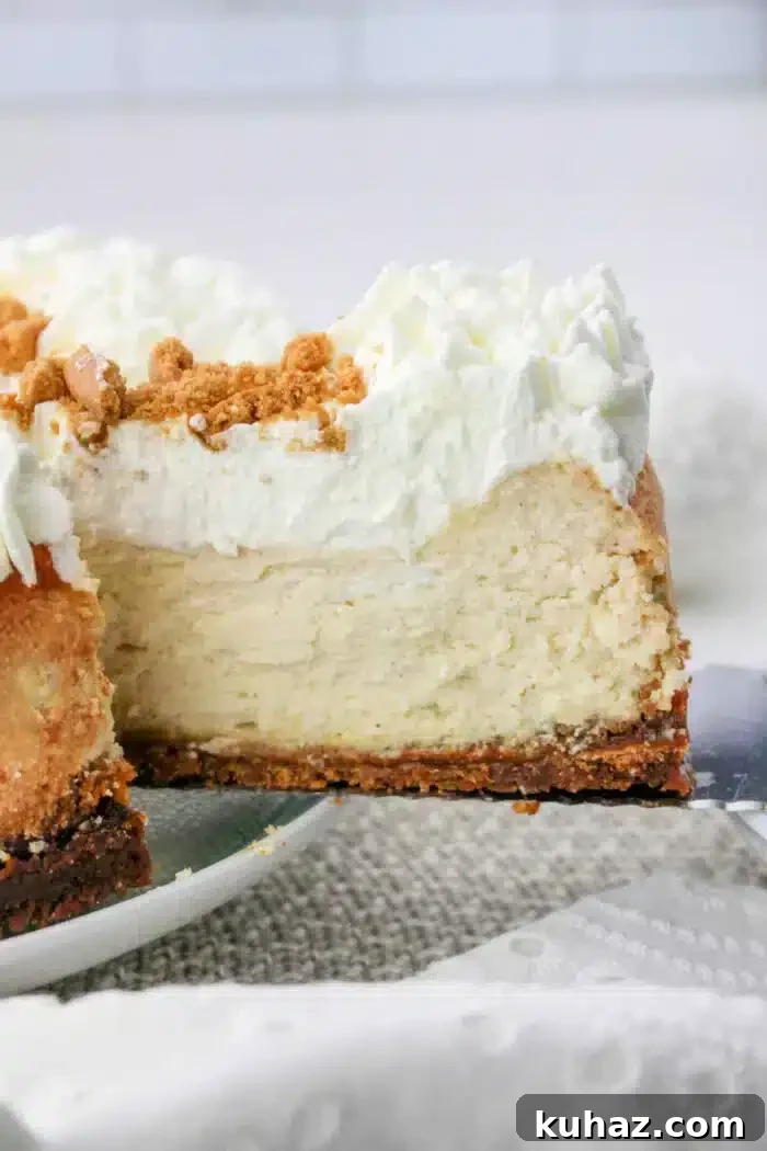 Silky Philadelphia Cream Cheese Cheesecake Recipe 2 Philadelphia Cream Cheese Cheesecake Recipe
