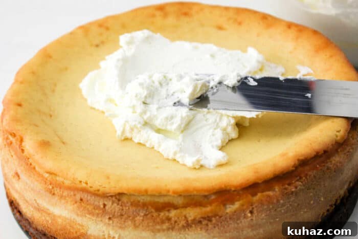 Silky Philadelphia Cream Cheese Cheesecake Recipe 5 Gingerbread Mini Cheesecake
