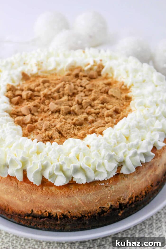 Silky Philadelphia Cream Cheese Cheesecake Recipe 6 Cheesecake Recipe Philadelphia