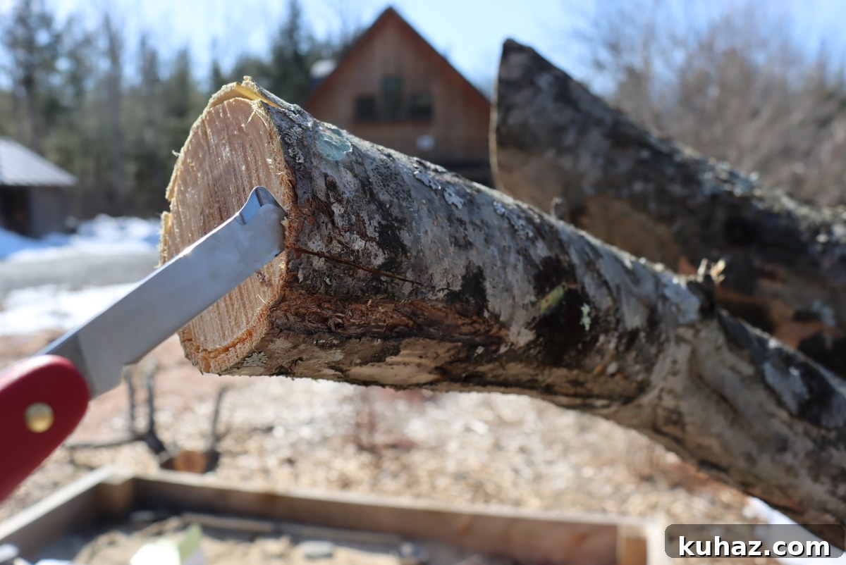 Fruit Tree Grafting: Step-by-Step Guide to Successful Grafts 10 Bark Grafting