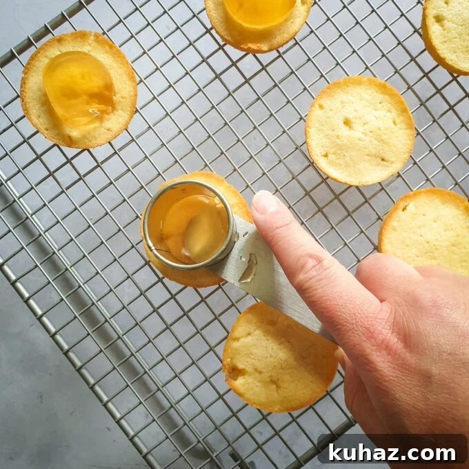 Homemade Vegan Jaffa Cakes Recipe 5 img 16174 4