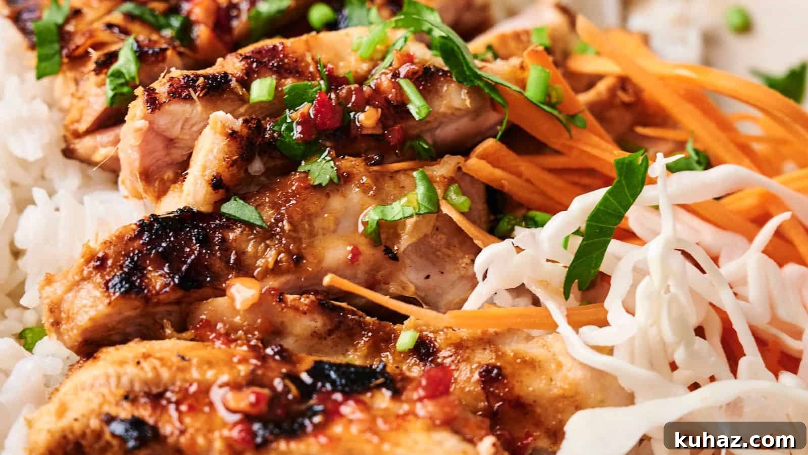 19 Asian Recipes That Fed My Family for $20 14 Grilled chicken with herbs on white rice, garnished with shredded carrots and cabbage.