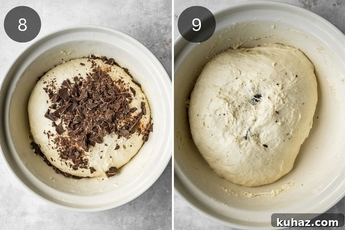 Chocolate Focaccia Recipe with Same Day Dough and Video 6 Recipe steps showing how the chocolate is added to the dough during the stretch and fold step.
