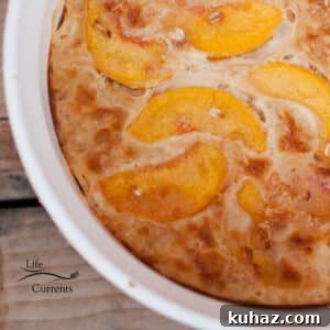 Peaches and Cream Baked Oatmeal Recipe 6 looking down in a casserole dish filled with Peaches and Cream Baked Oatmeal.