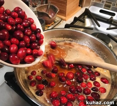 Aperol Spritz Cranberry Sauce in process