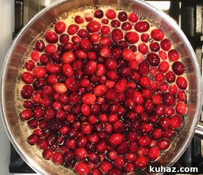 Aperol Spritz Cranberry Sauce in process