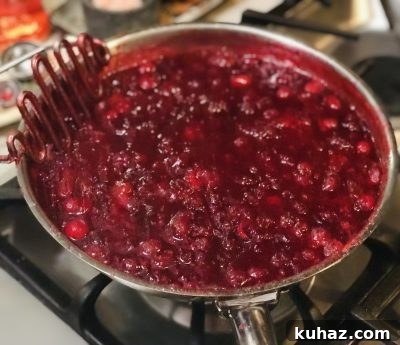 Aperol Spritz Cranberry Sauce in process