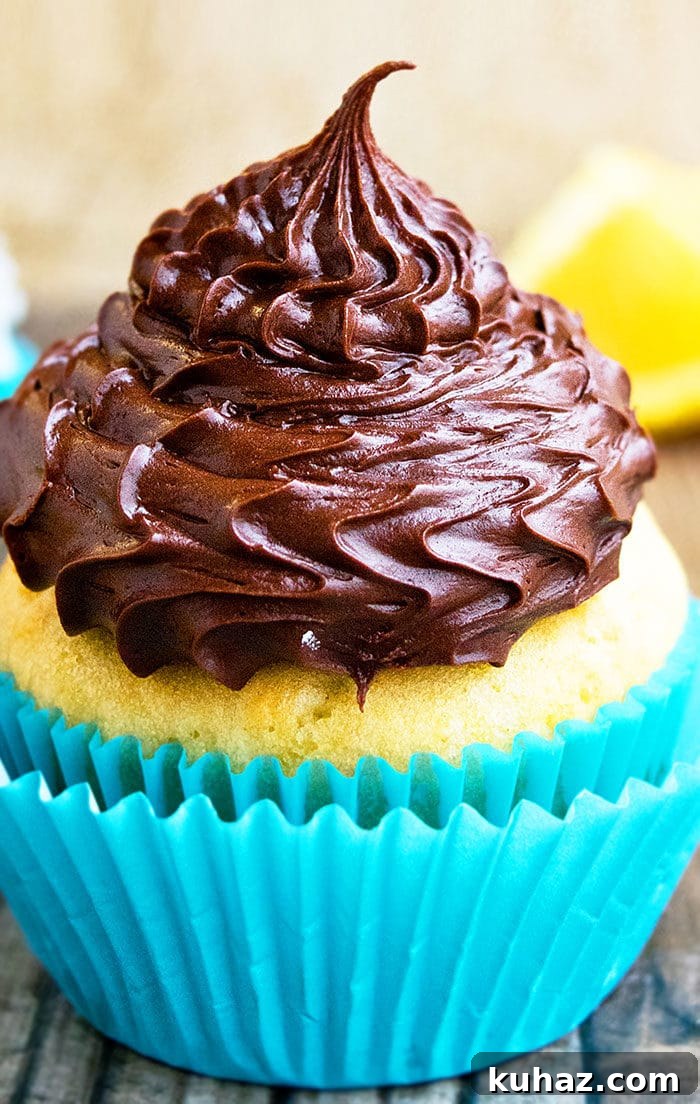 2-Ingredient Chocolate Ganache Frosting Recipe 2 Easy Chocolate Ganache Frosting For Piping