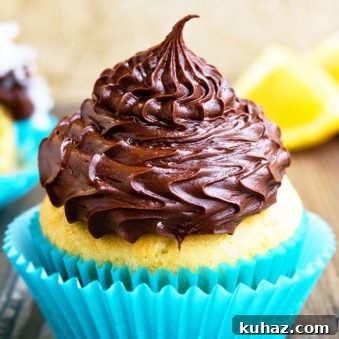 Chocolate Ganache Frosting Recipe
