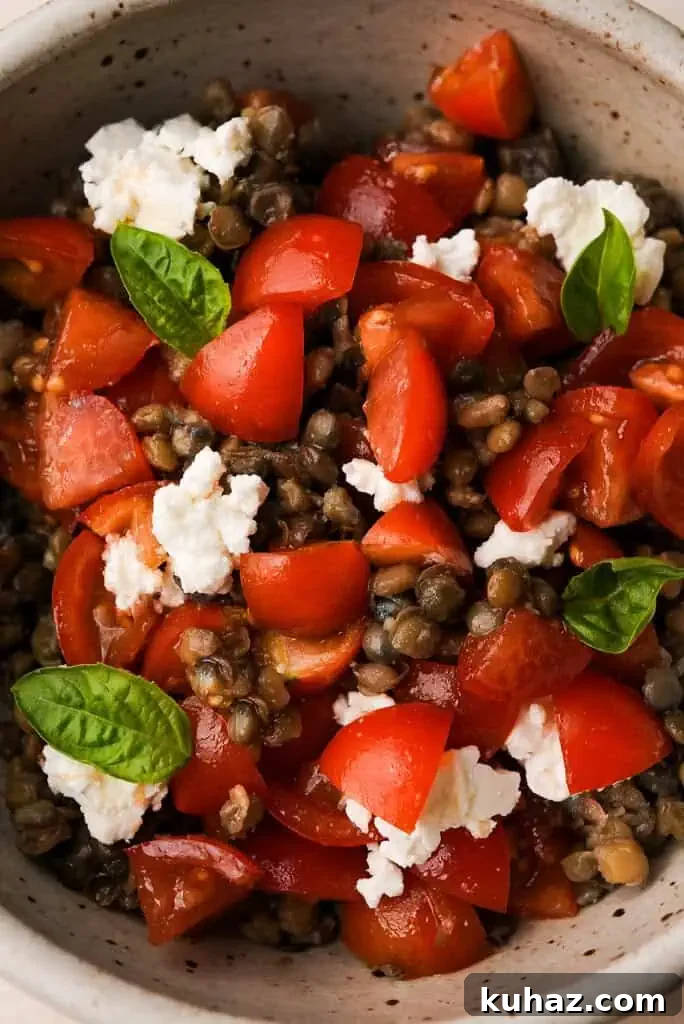 Cold lentil salad recipes close up view of a bowl of lentil salad with feta