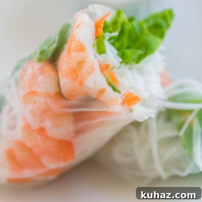 Vietnamese Shrimp Spring Rolls Recipe 2 Spring Rolls on plate with peanut sauce behind it