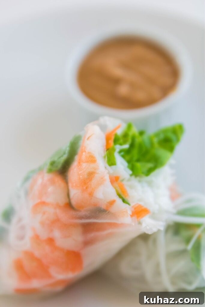 Vietnamese Shrimp Spring Rolls Recipe 5 rice roll with shrimp sliced in half on a plate
