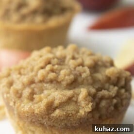 Moist Cinnamon Apple Muffins Recipe 11 Apple Crumb Muffins