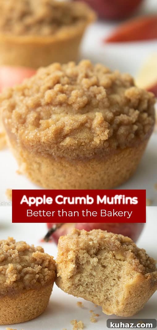Moist Cinnamon Apple Muffins Recipe 12 Long Pine double text on image Apple Crumb Muffins Better than the Bakery