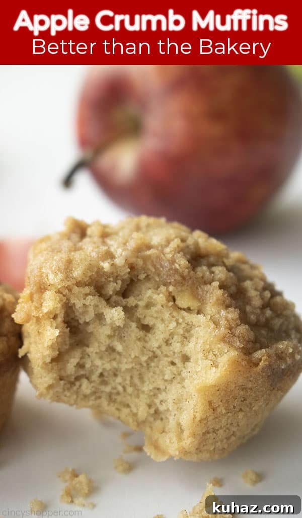 Moist Cinnamon Apple Muffins Recipe 13 Long Pin text on image Apple Crumb Muffins Better than the Bakery