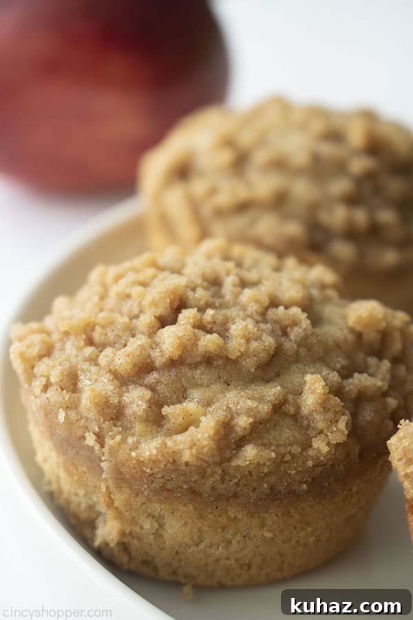 Moist Cinnamon Apple Muffins Recipe 5 Apple Muffins on a white plate with red apple in background