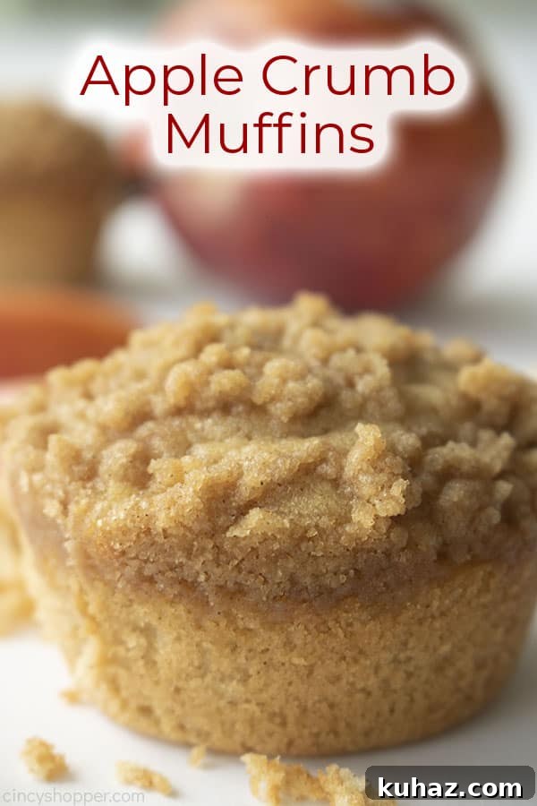 Moist Cinnamon Apple Muffins Recipe 6 One Apple Crumb Muffin on a white background with text on image