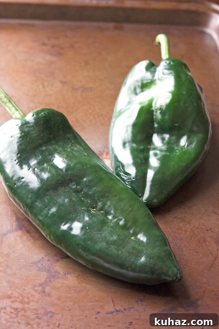 poblano chile pepper
