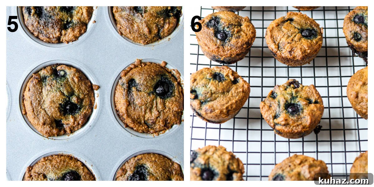 Almond Flour Blueberry Muffins, Tender and Fluffy 6 Baked muffins in the muffin pan and on a wire rack.