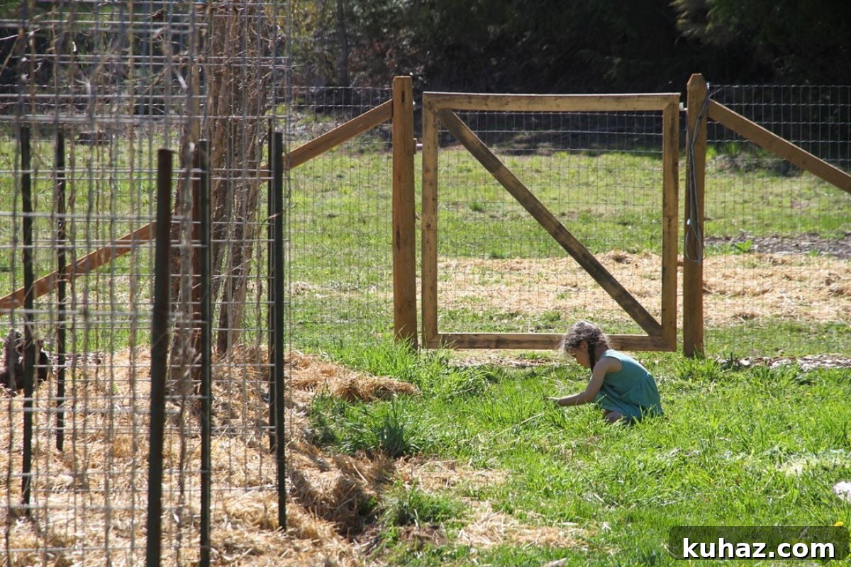 A child picking dandelions in a green lawn.