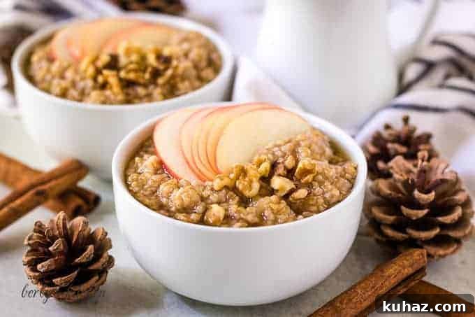 How to Make Creamy Instant Pot Steel Cut Oats 2 Two bowls of Instant Pot steel cut oats with apples.