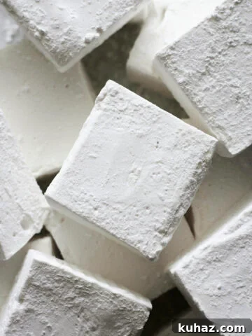 Closeup of Classic Vanilla Marshmallows in a pile.