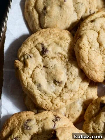A pile of Sourdough Discard Chocolate Chip Cookies.