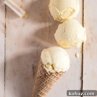 Orange tequila ice cream small