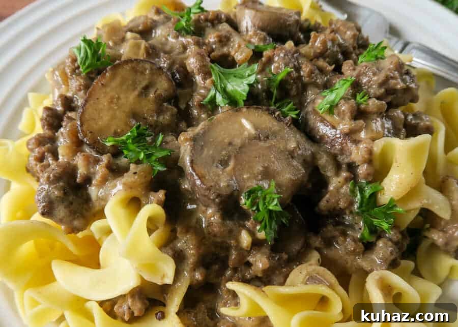 Creamy Ground Beef Stroganoff Recipe with Greek Yogurt 14 img 2579 14
